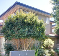 One Street Back from the Surf Beach - ACT Tourism