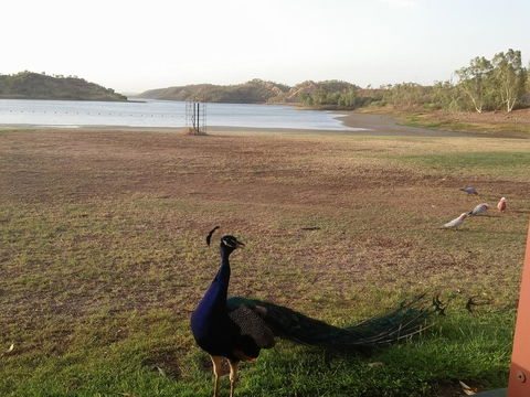 Overlander Hotel - ACT Tourism 2