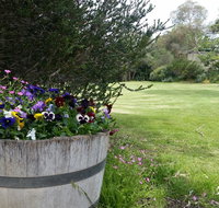 Padthaway Caravan Park - ACT Tourism