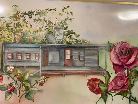 Paluma Rainforest - Carriage In The Mist - ACT Tourism 0