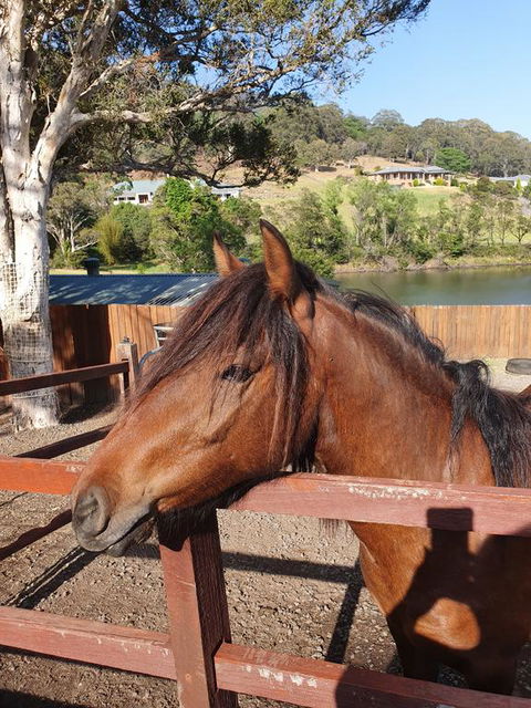 Park View Guest House - ACT Tourism 1