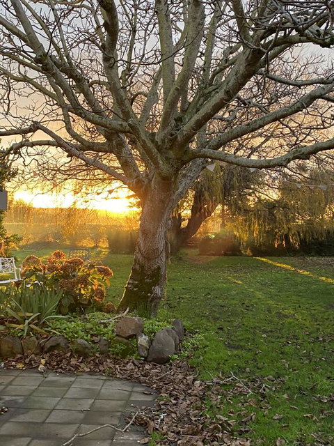 Peg Cottage - ACT Tourism 0