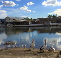 Pelican Cove Apartments