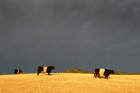 Peppertree Hill - ACT Tourism 0