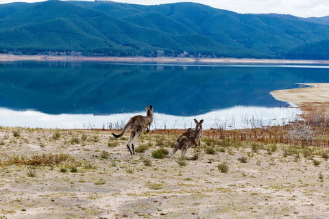 Pether Cottage - Talbingo NSW - ACT Tourism 3
