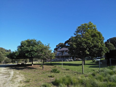 Pine Scrub Beach House - ACT Tourism 2