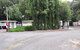 Pinewood Caravan Park - thumb 3