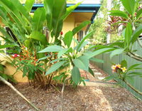 Rainforest Cottage Cairns