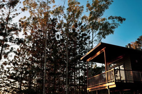 Rainforest Gardens - Luxury Hillside Chalets With Views To Bay & Islands - ACT Tourism 2