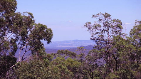 Ravensbourne Escape - Cedar Lodge - ACT Tourism 0