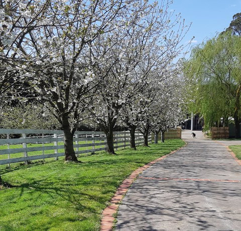 Ray's Farm - ACT Tourism 1