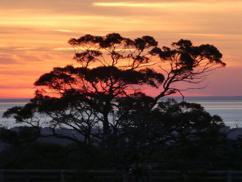 Red Hill Ridge - ACT Tourism 1