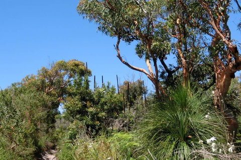 Relaxing Queen Sized Room With En-Suite - ACT Tourism 3