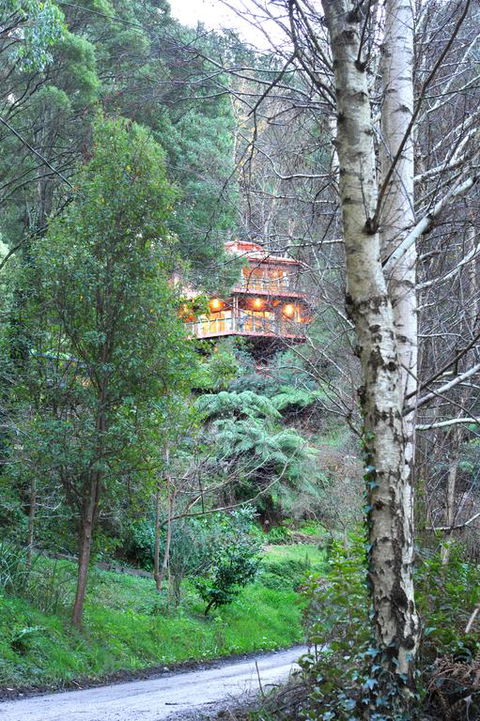 Risehill House - ACT Tourism 3