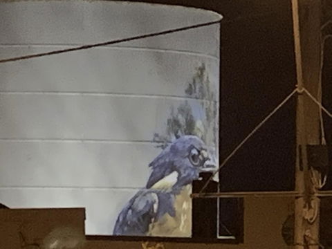 Rochester Wine Tavern - ACT Tourism 1