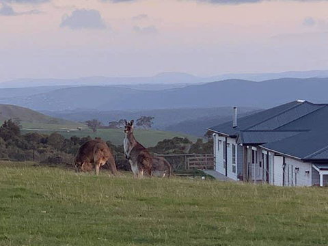 Rooks Edge - ACT Tourism 0