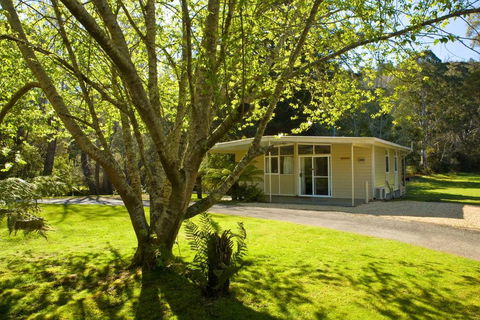 Russell Falls Holiday Cottages - ACT Tourism 3