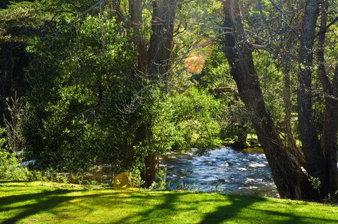 Russell Falls Holiday Cottages - ACT Tourism 2