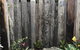 Sawtell Beach Shack 1 - thumb 3