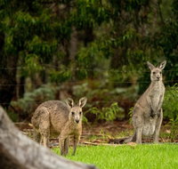 Secura Lifestyle Countryside Kalaru - ACT Tourism