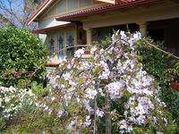 Book Katoomba Accommodation Vacations ACT Tourism ACT Tourism