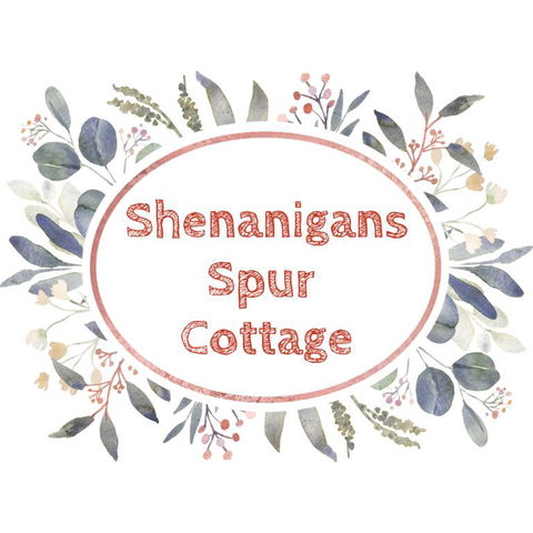 Shenanigans Spur Cottage - ACT Tourism 3