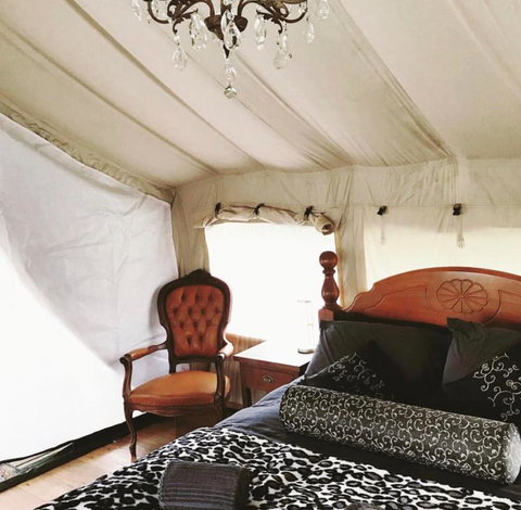 Silk Pavilions Glamping - ACT Tourism 1