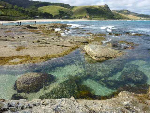 Skenes Creek Beachfront Caravan Park - ACT Tourism 3
