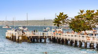 Book Mosman Accommodation Vacations ACT Tourism ACT Tourism