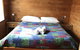 Somerset Beachside Cabin And Caravan Park - thumb 3
