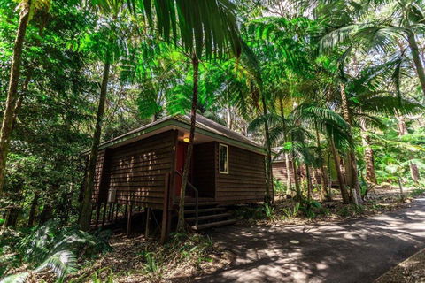 Songbirds Rainforest Retreat - ACT Tourism 2