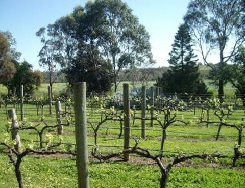 Southern Vales Bed & Breakfast - ACT Tourism 1