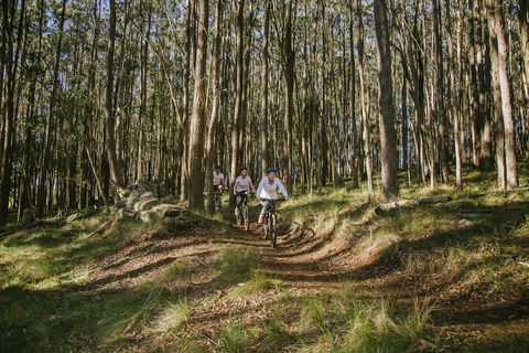 Spicers Peak Lodge - ACT Tourism 3