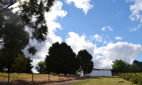 Springhill Winery - ACT Tourism 2