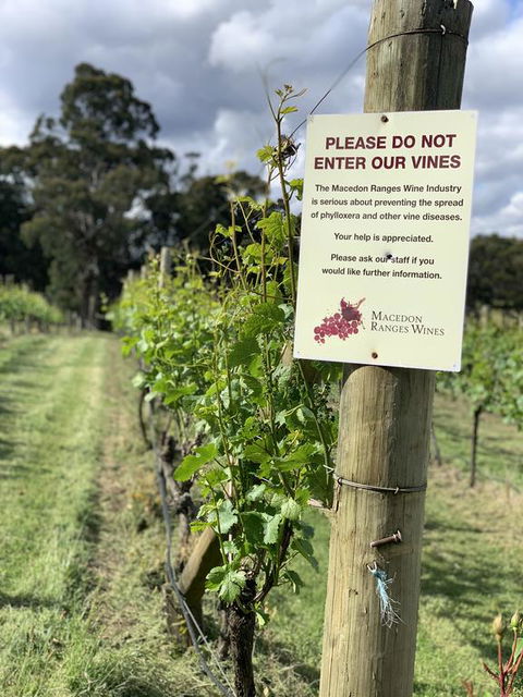 Springhill Winery - ACT Tourism 3