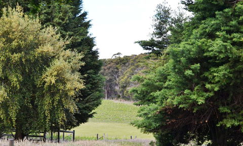 Springhill Winery - ACT Tourism 1