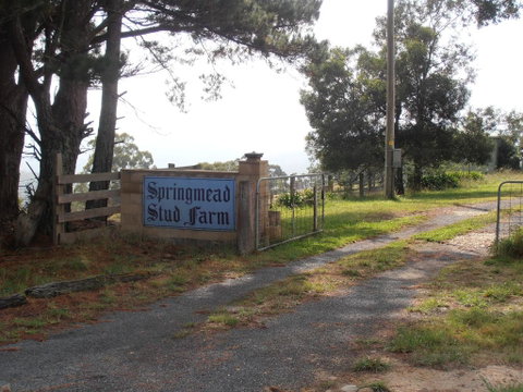 Springmead B&B - ACT Tourism 2