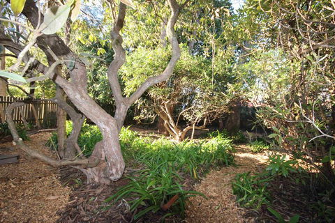 Stonewall Cottage And Studio - ACT Tourism 2