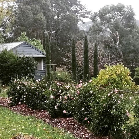 Summerhill Farm B&B - ACT Tourism 3