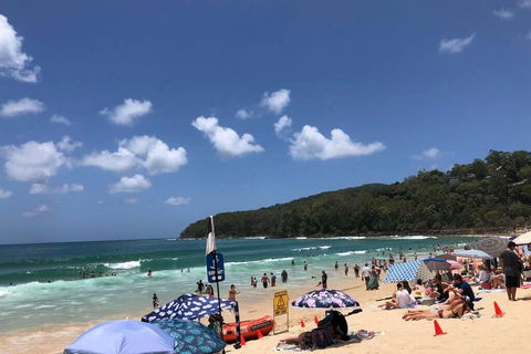 Sunshine Coast Cottage - ACT Tourism 3