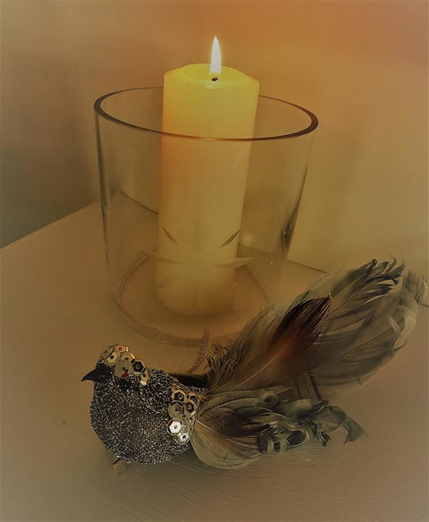 Birch Lane - ACT Tourism 26