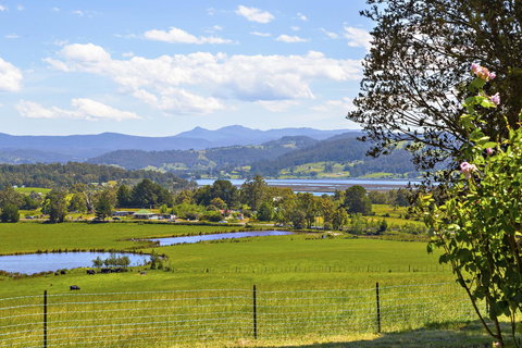 Birch Lane - ACT Tourism 7