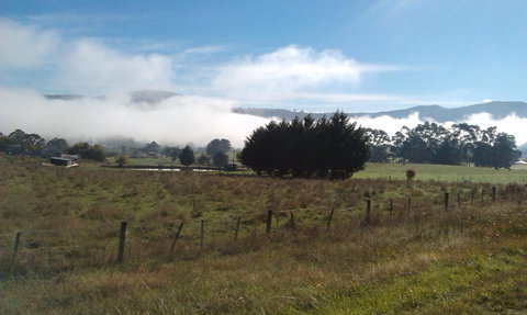 Birch Lane - ACT Tourism 30