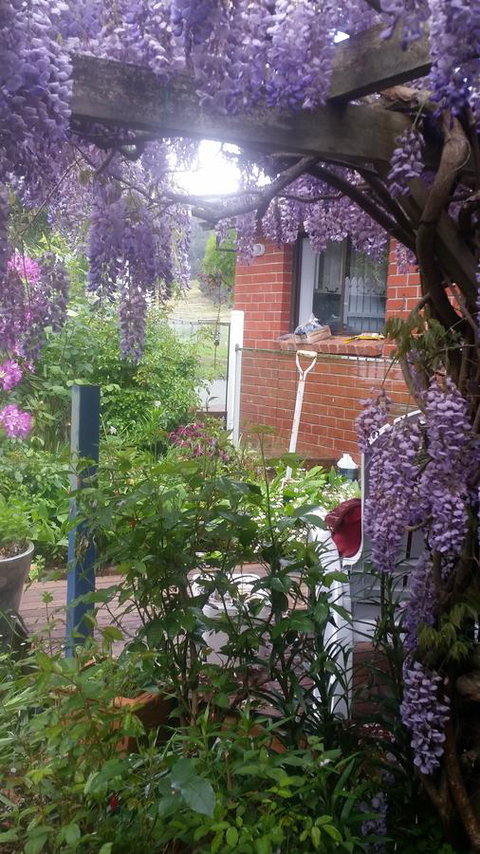 Birch Lane - ACT Tourism 41