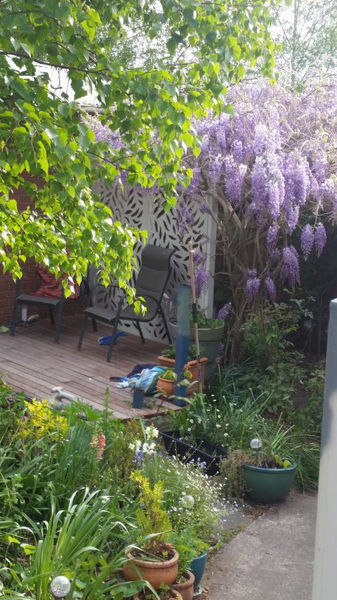 Birch Lane - ACT Tourism 44