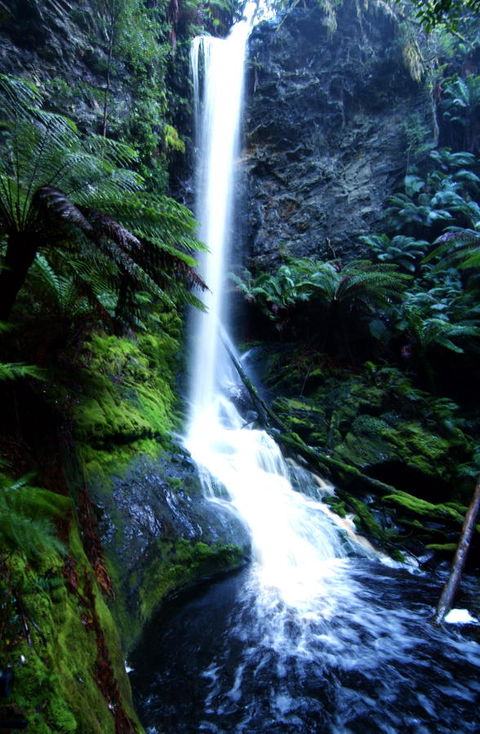 Corinna Wilderness Village - ACT Tourism 40