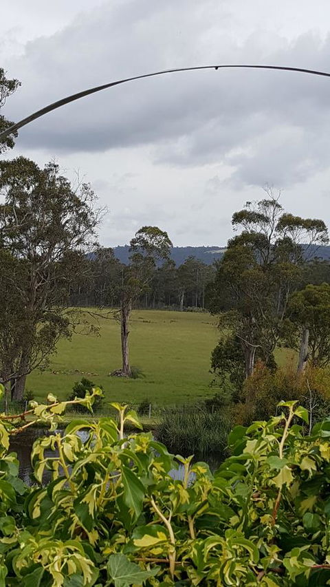 Hazelcreek Cottages - ACT Tourism 34