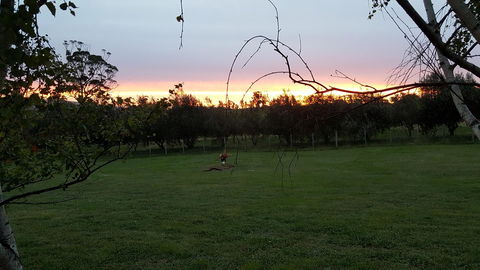 Hazelcreek Cottages - ACT Tourism 33