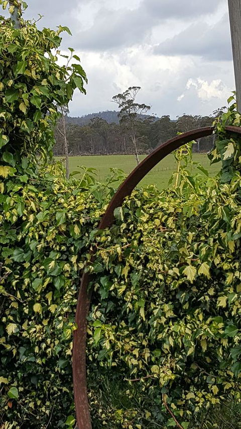 Hazelcreek Cottages - ACT Tourism 36