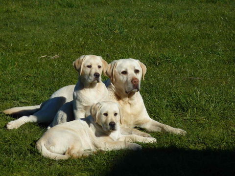 Hazelcreek Cottages - ACT Tourism 26